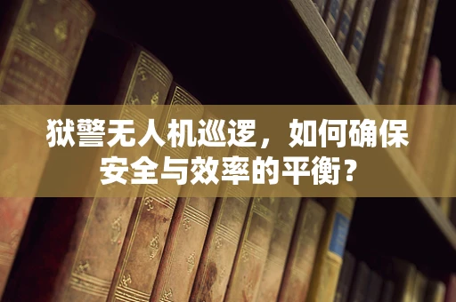 狱警无人机巡逻，如何确保安全与效率的平衡？