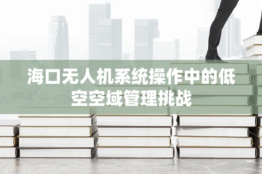 海口无人机系统操作中的低空空域管理挑战