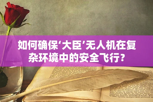 如何确保‘大臣’无人机在复杂环境中的安全飞行？