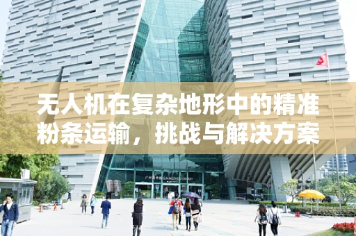 无人机在复杂地形中的精准粉条运输，挑战与解决方案？