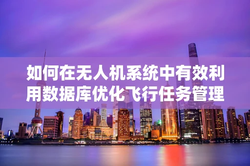如何在无人机系统中有效利用数据库优化飞行任务管理？