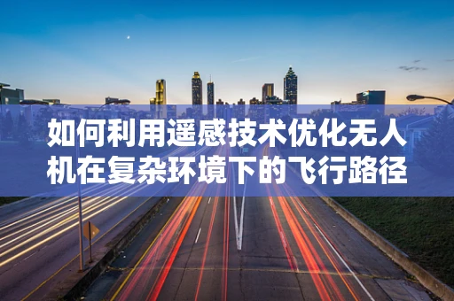 如何利用遥感技术优化无人机在复杂环境下的飞行路径？