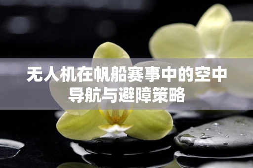 无人机在帆船赛事中的空中导航与避障策略