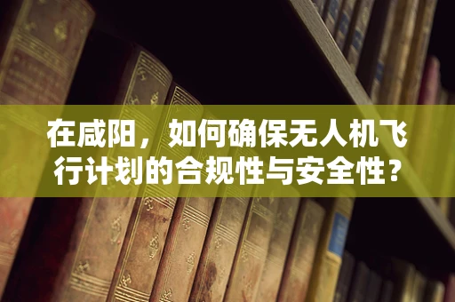 在咸阳，如何确保无人机飞行计划的合规性与安全性？