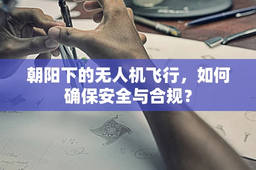 朝阳下的无人机飞行，如何确保安全与合规？