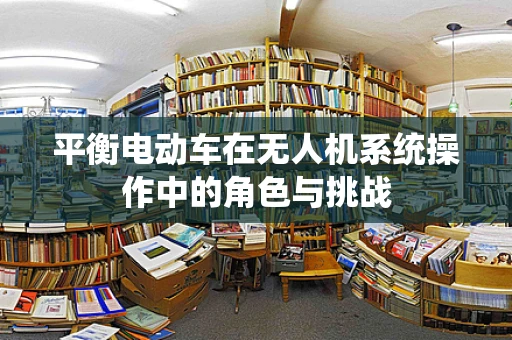 平衡电动车在无人机系统操作中的角色与挑战