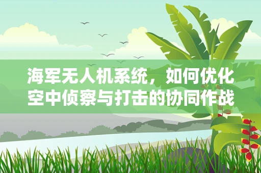 海军无人机系统，如何优化空中侦察与打击的协同作战？