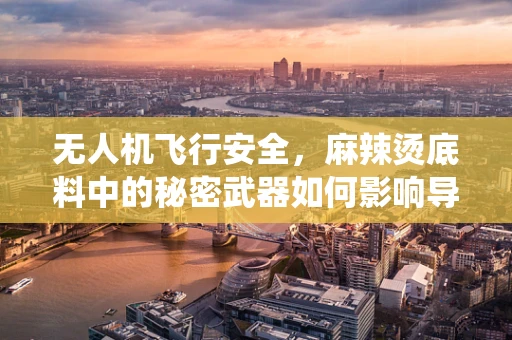无人机飞行安全，麻辣烫底料中的秘密武器如何影响导航系统？