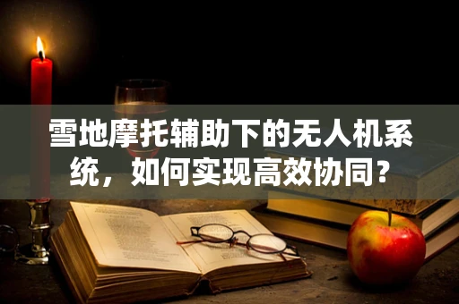 雪地摩托辅助下的无人机系统，如何实现高效协同？