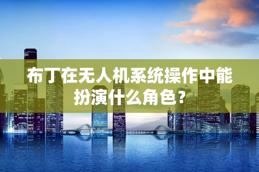 布丁在无人机系统操作中能扮演什么角色？