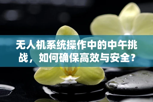 无人机系统操作中的中午挑战，如何确保高效与安全？