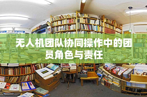 无人机团队协同操作中的团员角色与责任