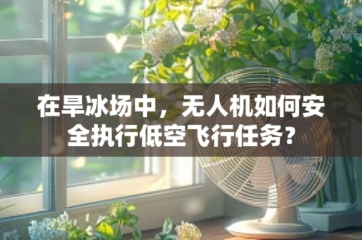 在旱冰场中，无人机如何安全执行低空飞行任务？