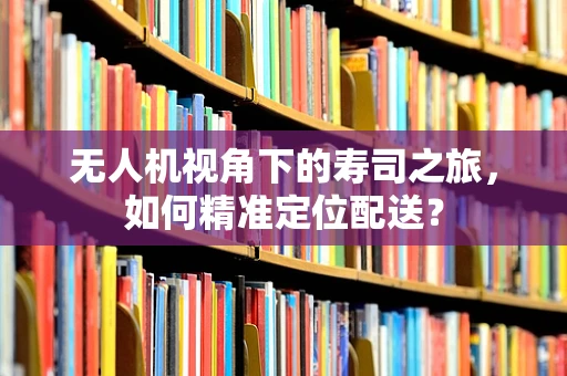 无人机视角下的寿司之旅，如何精准定位配送？
