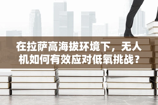 在拉萨高海拔环境下，无人机如何有效应对低氧挑战？