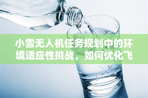 小雪无人机任务规划中的环境适应性挑战，如何优化飞行路径？