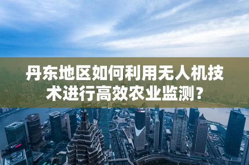 丹东地区如何利用无人机技术进行高效农业监测？