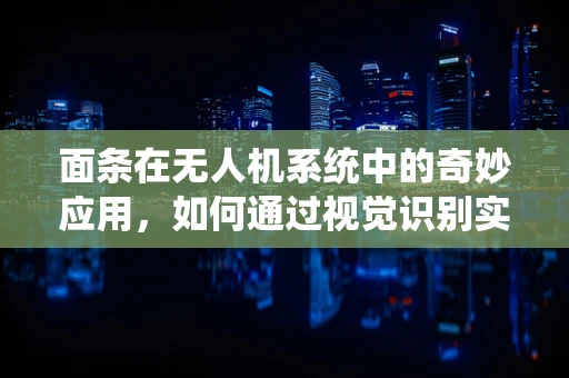 面条在无人机系统中的奇妙应用，如何通过视觉识别实现精准避障？