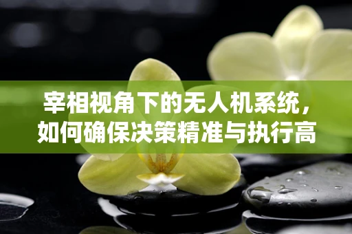 宰相视角下的无人机系统，如何确保决策精准与执行高效？