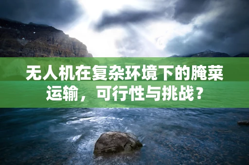 无人机在复杂环境下的腌菜运输，可行性与挑战？