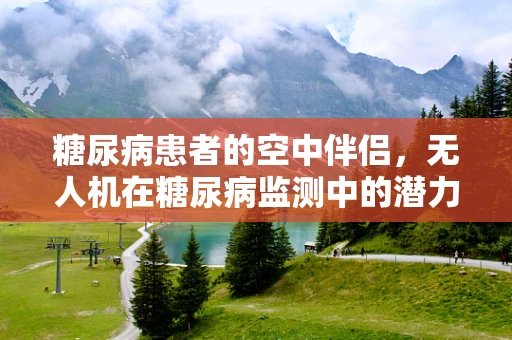 糖尿病患者的空中伴侣，无人机在糖尿病监测中的潜力与挑战