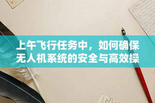 上午飞行任务中，如何确保无人机系统的安全与高效操作？