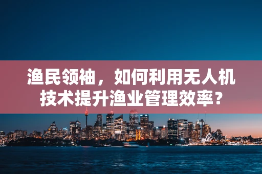 渔民领袖，如何利用无人机技术提升渔业管理效率？