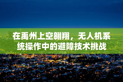 在禹州上空翱翔，无人机系统操作中的避障技术挑战