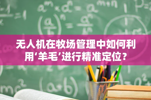 无人机在牧场管理中如何利用‘羊毛’进行精准定位？