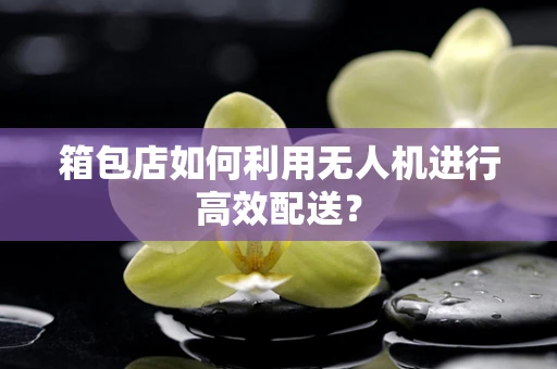 箱包店如何利用无人机进行高效配送？