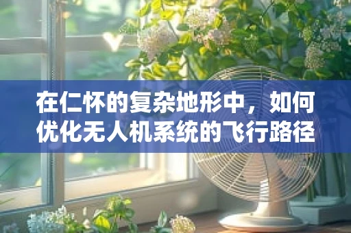 在仁怀的复杂地形中，如何优化无人机系统的飞行路径规划？