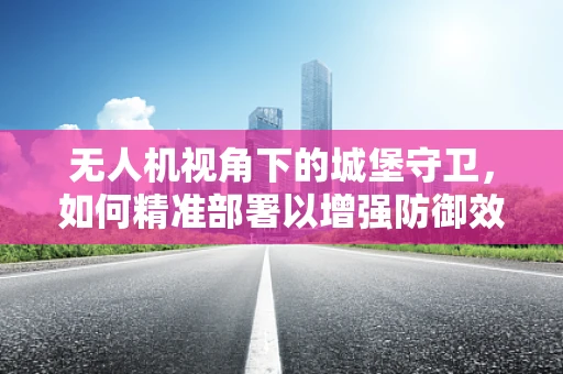 无人机视角下的城堡守卫，如何精准部署以增强防御效能？