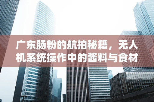 广东肠粉的航拍秘籍，无人机系统操作中的酱料与食材平衡