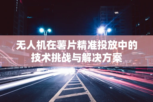 无人机在薯片精准投放中的技术挑战与解决方案