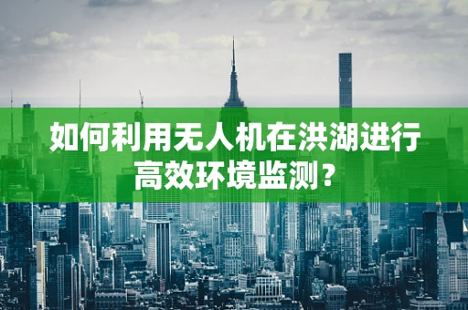 如何利用无人机在洪湖进行高效环境监测？