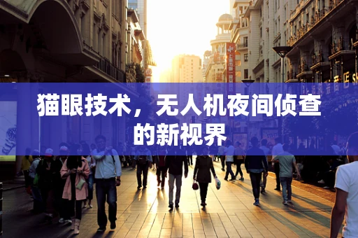 猫眼技术，无人机夜间侦查的新视界
