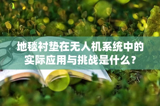 地毯衬垫在无人机系统中的实际应用与挑战是什么？