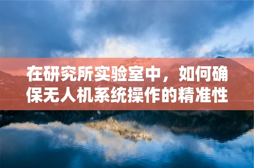 在研究所实验室中，如何确保无人机系统操作的精准性与安全性？