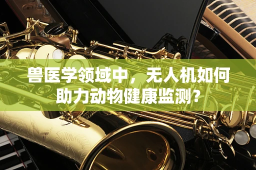兽医学领域中，无人机如何助力动物健康监测？