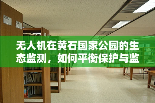 无人机在黄石国家公园的生态监测，如何平衡保护与监测的边界？