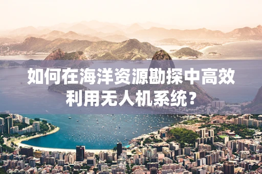 如何在海洋资源勘探中高效利用无人机系统？