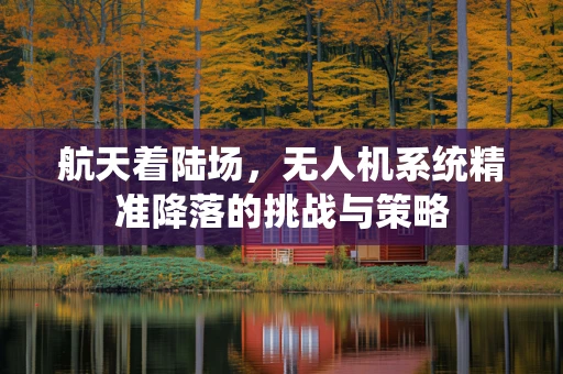 航天着陆场，无人机系统精准降落的挑战与策略