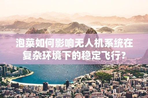 泡菜如何影响无人机系统在复杂环境下的稳定飞行？