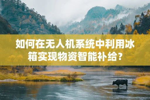 如何在无人机系统中利用冰箱实现物资智能补给？