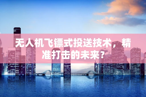 无人机飞镖式投送技术，精准打击的未来？