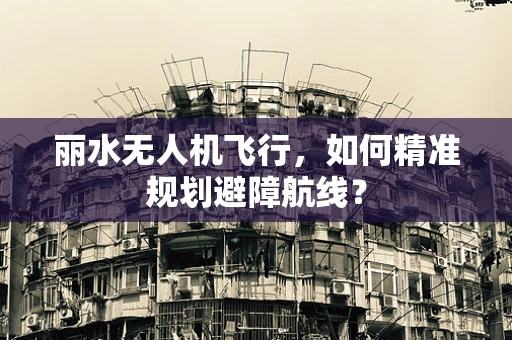 丽水无人机飞行，如何精准规划避障航线？