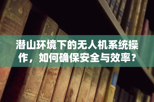 潜山环境下的无人机系统操作，如何确保安全与效率？