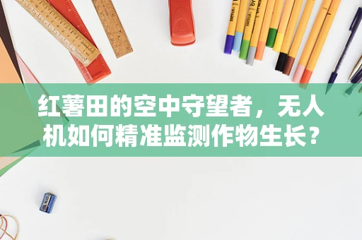 红薯田的空中守望者，无人机如何精准监测作物生长？
