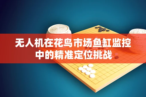 无人机在花鸟市场鱼缸监控中的精准定位挑战