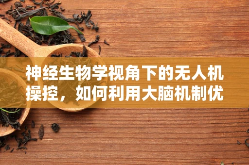 神经生物学视角下的无人机操控，如何利用大脑机制优化飞行控制？